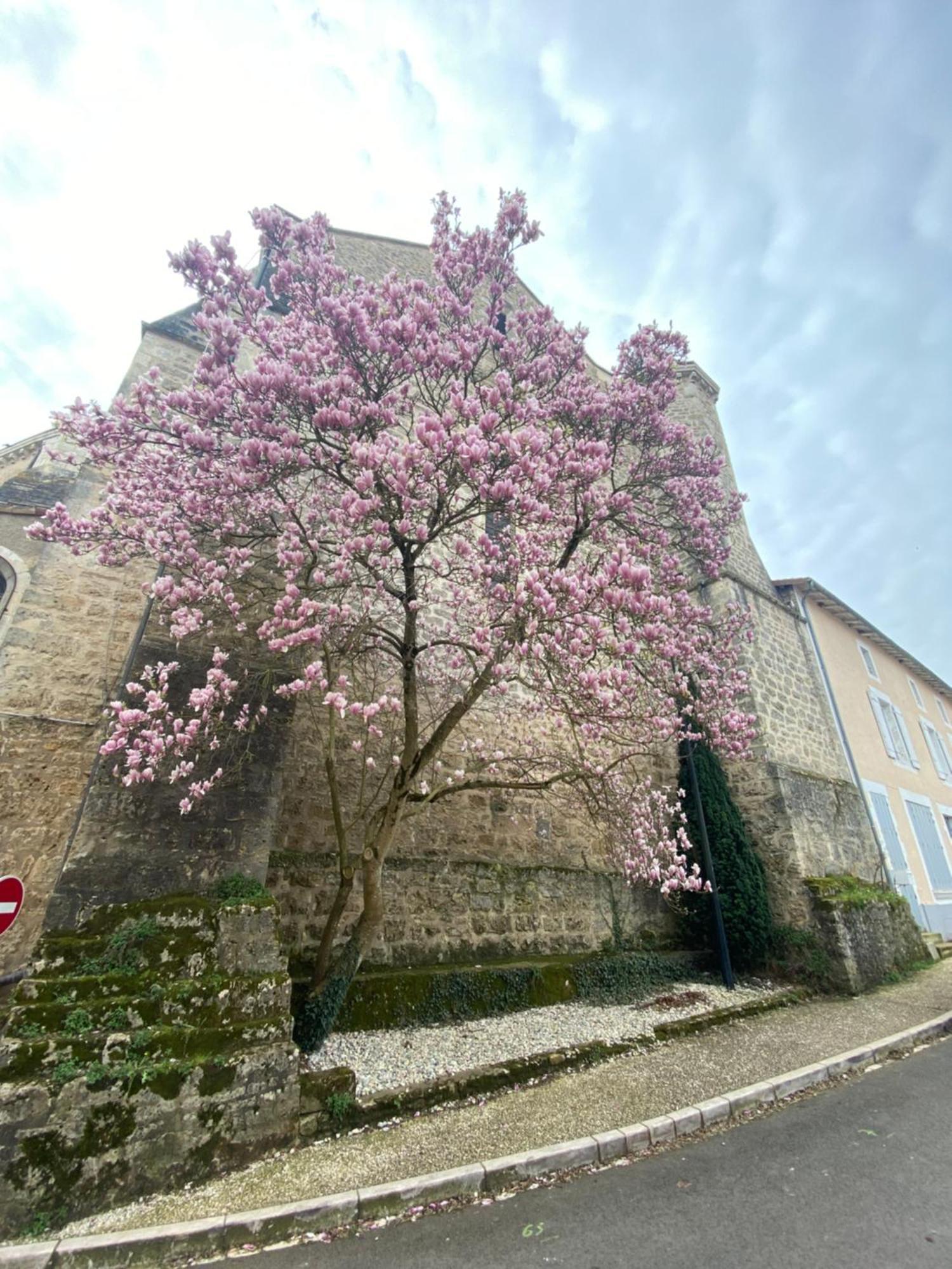 Logis Hotel Le Saint Georges Vivonne Eksteriør billede